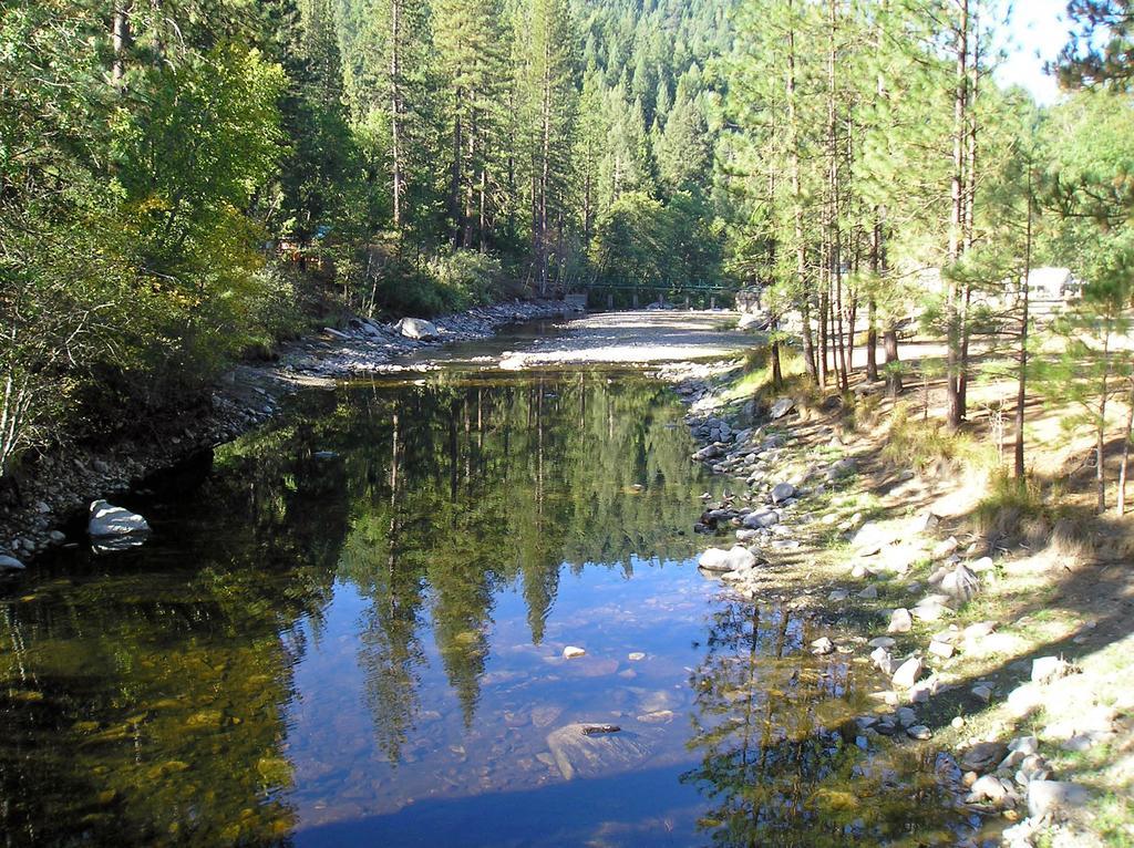 Yosemite Lakes Bunkhouse Cabin 27 Harden Flat Bagian luar foto